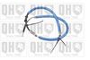 QH_BC2566.JPG