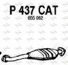 P437CAT.JPG