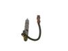 BOSCH Nozzle and Holder Assembly 0 432 193 461