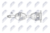 npw-ns-196_9-wm.PNG