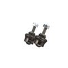 биалета