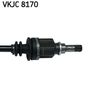 VKJC 8170_3.JPG