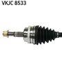VKJC 8533_2.JPG