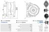 A01014(SEG)_256961.JPG