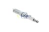 запалителна свещ