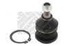 19542#0.JPG