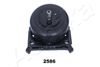 GOM-2586_1.JPG