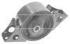 BEM3643_210483.JPG
