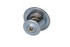 Termostat, chladivo 725214