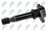ECZ-FT-002_2-WM.JPG