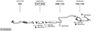 SYS03925.JPG
