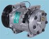 CMP2020130_1.JPG