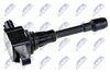 ECZ-NS-007_2-WM.JPG