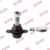 KYB-KBJ4265.JPG
