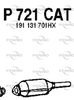 P721CAT.JPG
