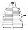 BCB6247_292460.JPG