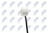 EGT-PL-004_3-WM.JPG