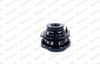 MK251L_2981315.JPG