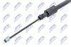 HLR-CT-015_2-WM.JPG