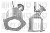 QH_QCAT80511H.JPG