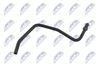 CPP-PL-002_2-WM.JPG