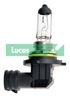 Lucas LLX9006XLPX2 Bulb, spotlight