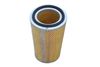47953.JPG