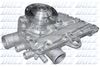 R118T.BMP