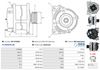A01127(SEG)_256960.JPG