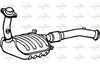 P496CAT.JPG