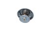 Termostat, chladivo 725117