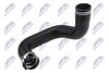 GPP-FT-003_2-WM.JPG