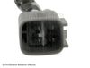 ADT37094_2.JPG