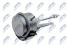 ecd-vw-022_1-wm.JPG