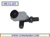 CL307.JPG