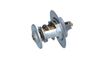 Termostat, chladivo 725214