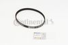 BELTPIC_CT1169.JPG