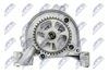 BPO-VW-010_3-WM.JPG