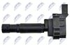 ECZ-ME-006_3-WM.JPG