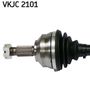 VKJC 2101_2.JPG