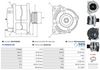 A01019(SEG)_256960.JPG