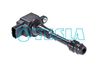 CL916.BMP