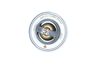 Termostat, chladivo 725214