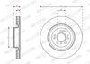 DDF2206C-1_5249674.JPG