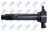 ECZ-MS-013_3-WM.JPG