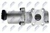 EGR-TY-009_6-WM.JPG