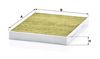 MANN-FILTER Biofunktionaler Innenraumfilter - FP2842