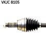 VKJC 8105_2.JPG