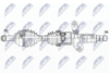 NPW-BM-190_9-WM.PNG