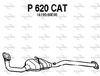 P620CAT.JPG